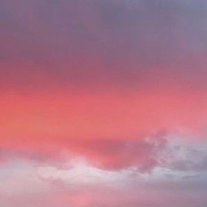 Meet your Posher, Maeve